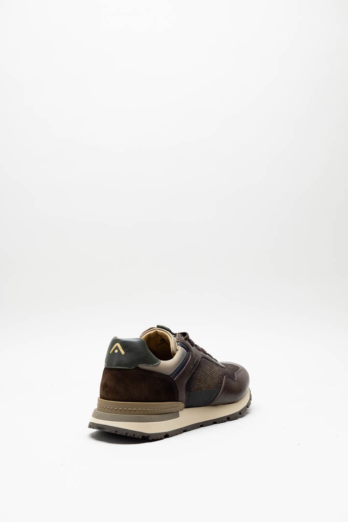 Bruin Sneaker image