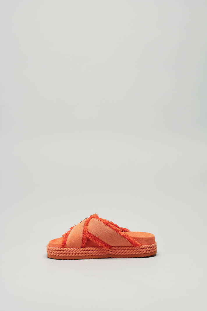 Oranje Muiltje image